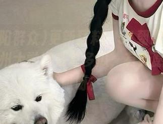 更新猛料：51朝阳群众建议从加州大学搬来更多瓜，有人愿意来贡献呀？