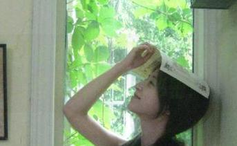 永不迷路，91吃瓜带你探寻那些黑料背后的秘密！