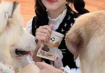 寻找ichigua.fun的地址，过程比结果更让人吃惊！