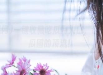 一键收藏吃瓜网入口，让你成为瓜圈的顶流！