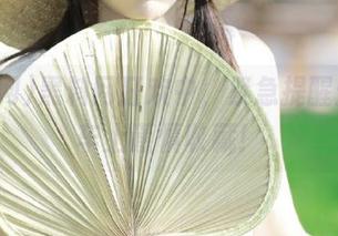 黑料网狂欢中，紧急提醒：公交车上谨慎收藏！