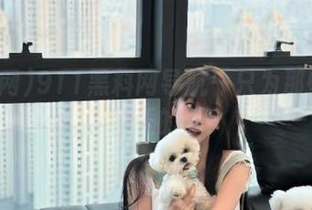 911黑料网导航—只为那些不愿意转正的人！